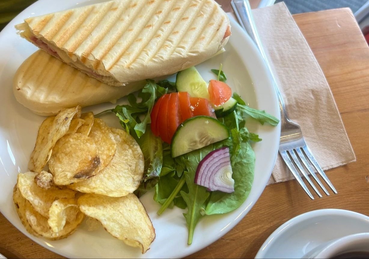 A toasted panini with salad, cucumber, red onion and crisps on a white plate
